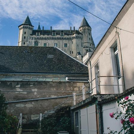 T2 Bedinsaumur Loire Chateau Tout Confort Esterno foto